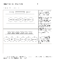 12 Best Images of Brain Parts Worksheet Brain Label