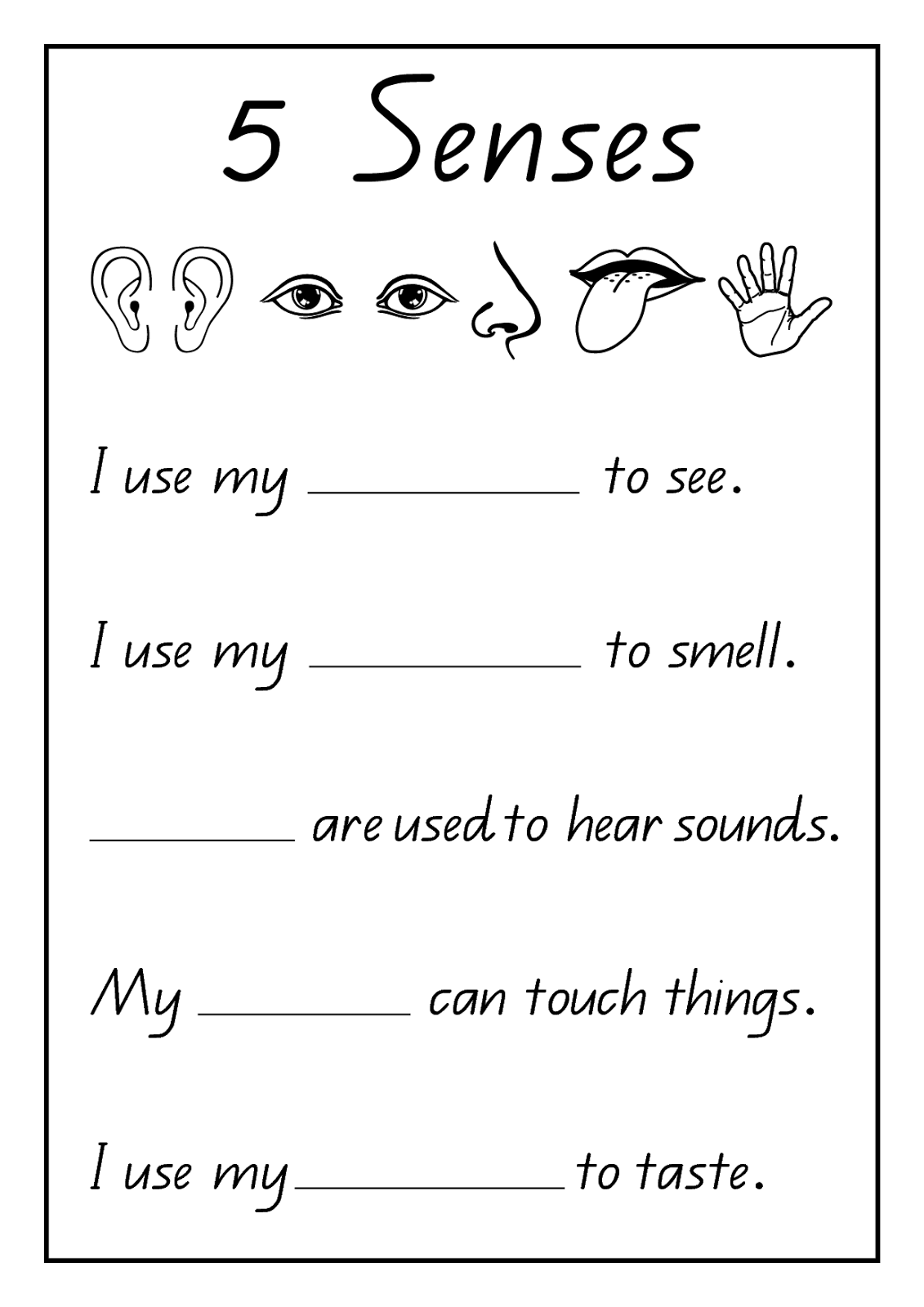 12 Best Images Of School Worksheets 1st Grade Science First Grade Science Worksheets Five 