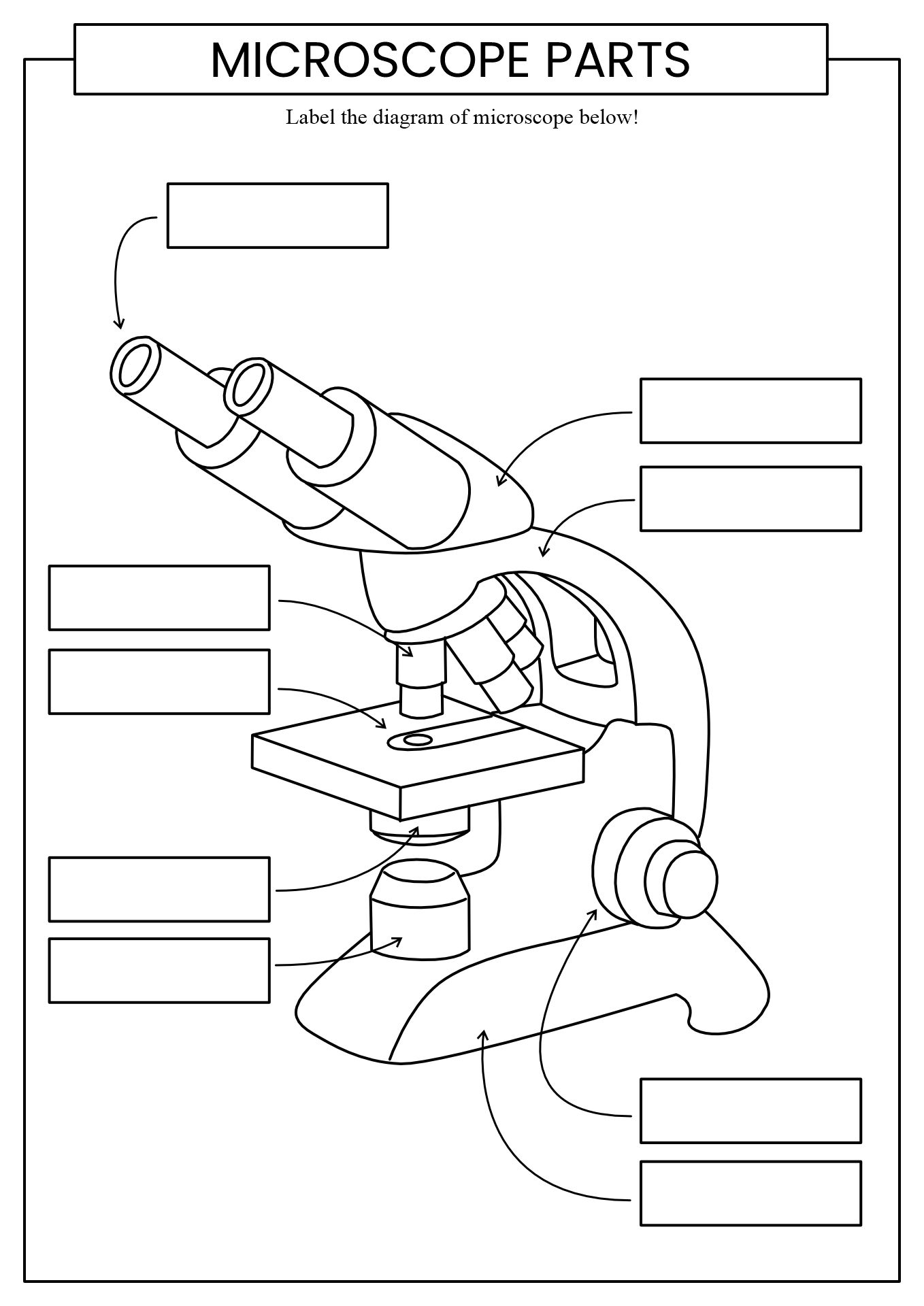 Compound Microscope Labeled Microscope Unlabeled Diagram Micropedia When Carrying A