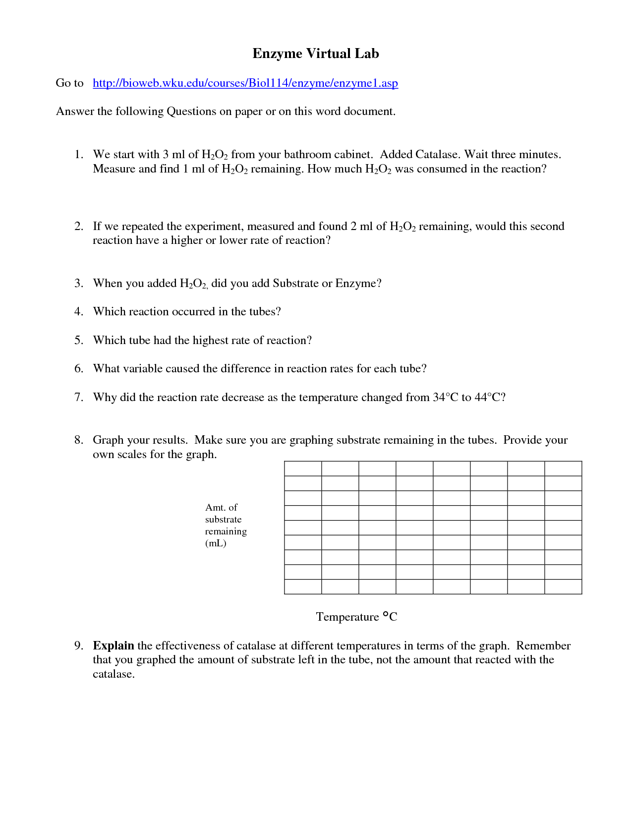 14 Best Images Of Enzymes Worksheet Answer Key Enzymes Worksheet 