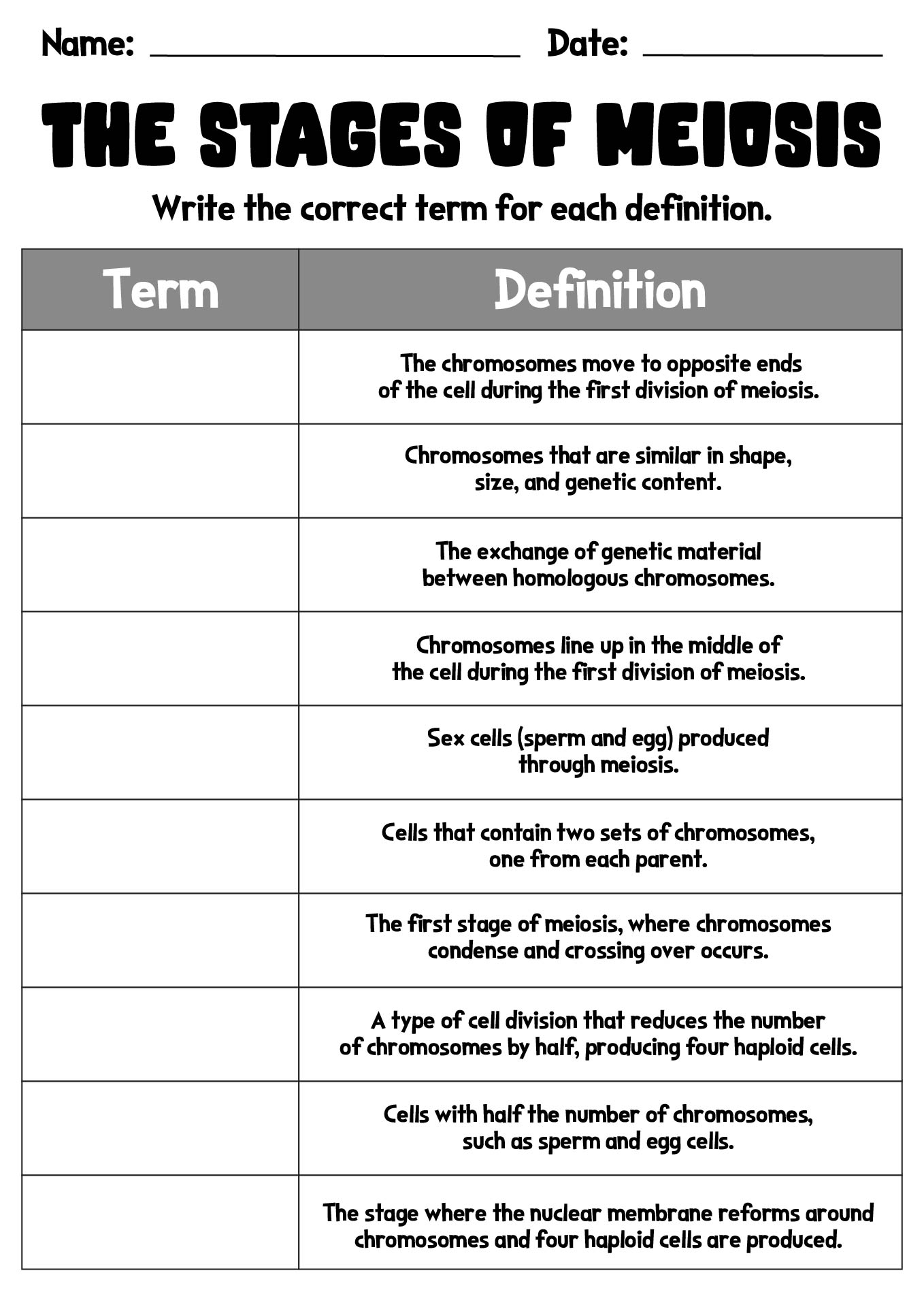 15 Best Images Of Phases Of Meiosis Worksheet Meiosis Stages 