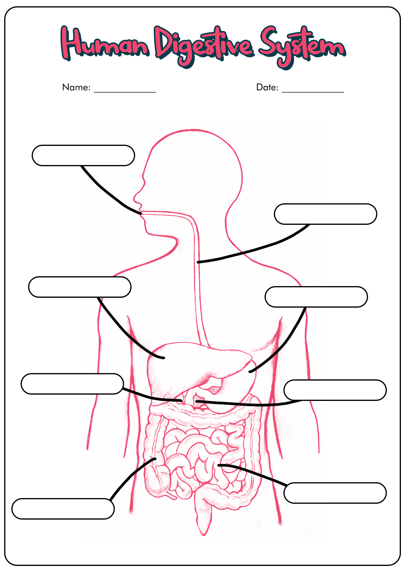 12 Best Images Of Worksheets Middle School Activity Guess Who I AM Worksheet Types Of 