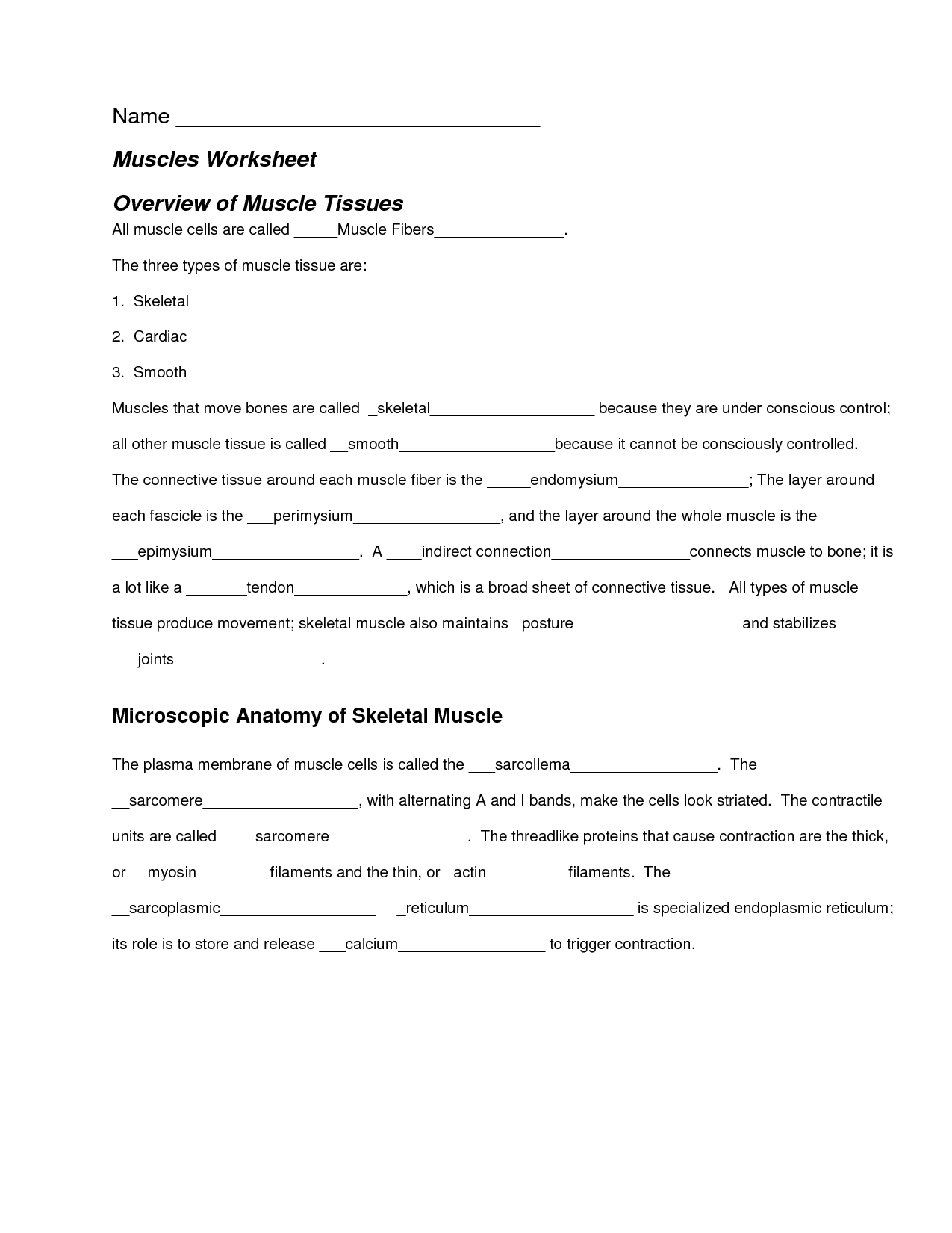 14 Best Images Of Muscle Review Worksheet Label Muscles Worksheet The Muscular System 