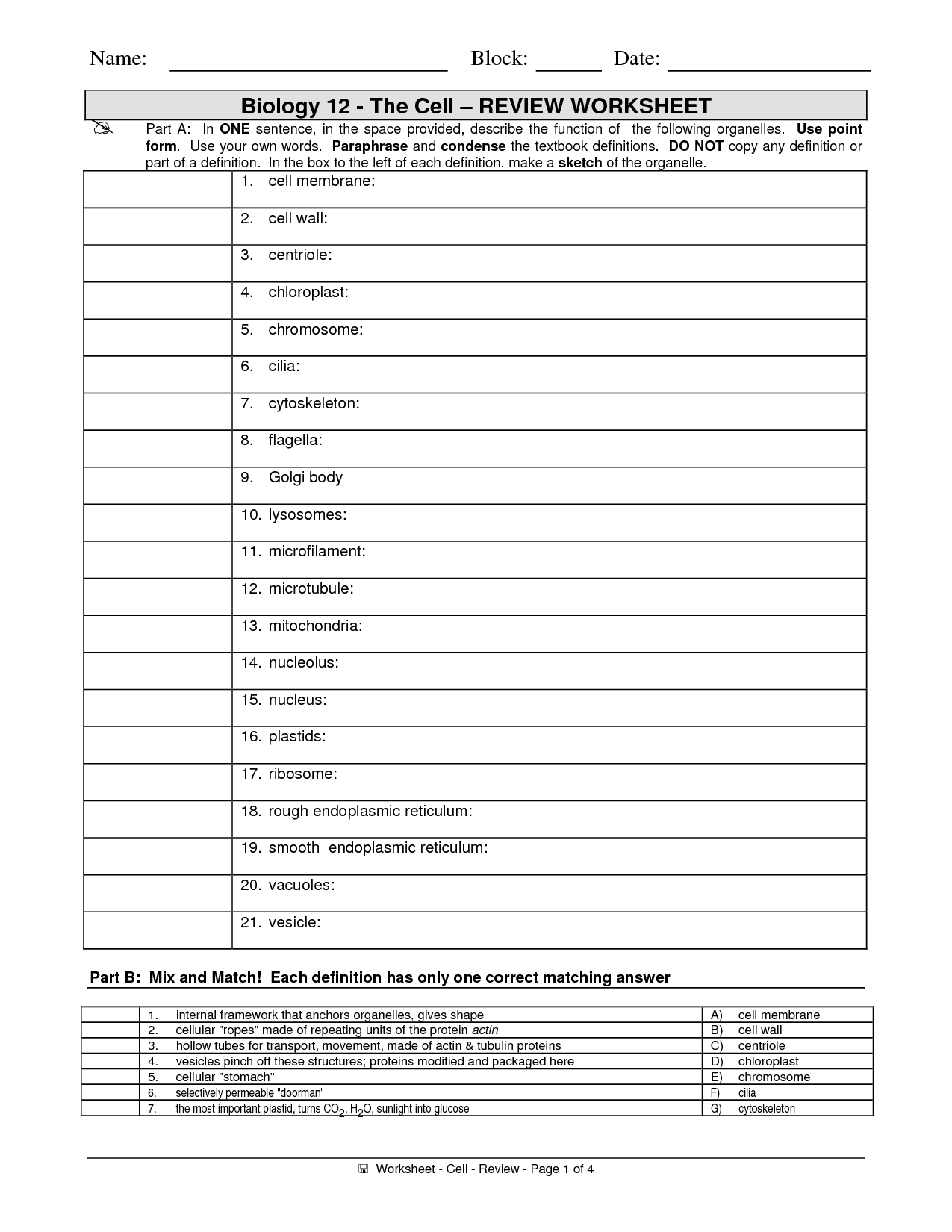 16 Best Images Of The 12 Cell Review Worksheet Answers Biology Cell Organelles Worksheet 