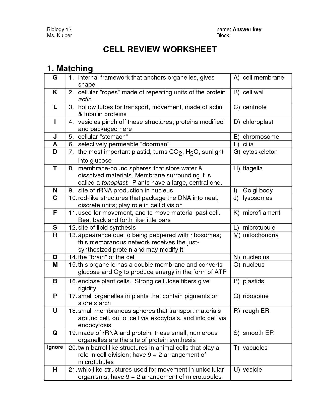 16 Best Images Of The 12 Cell Review Worksheet Answers Biology Cell Organelles Worksheet 