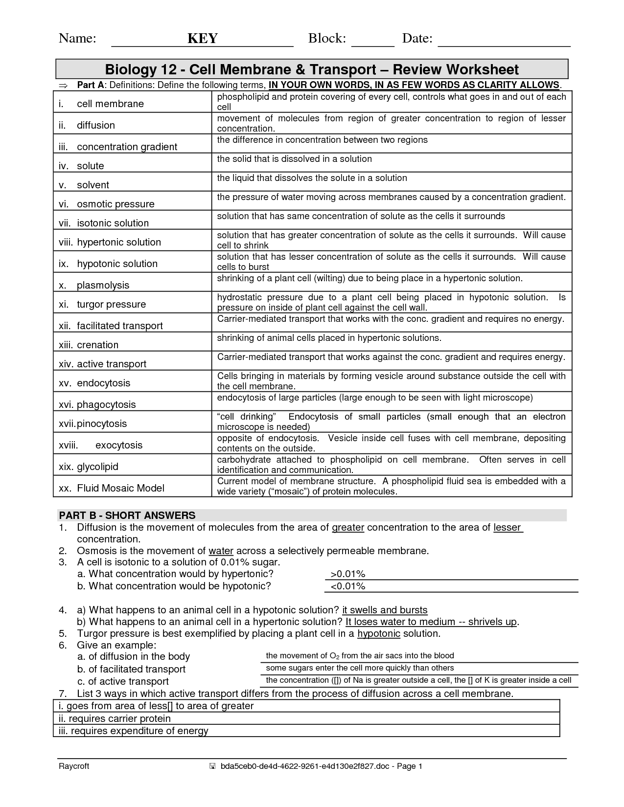 16 Best Images Of The 12 Cell Review Worksheet Answers Biology Cell Organelles Worksheet 