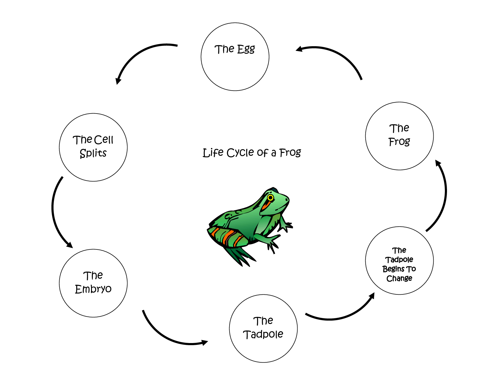10-best-images-of-frog-worksheets-for-elementary-printable-frog
