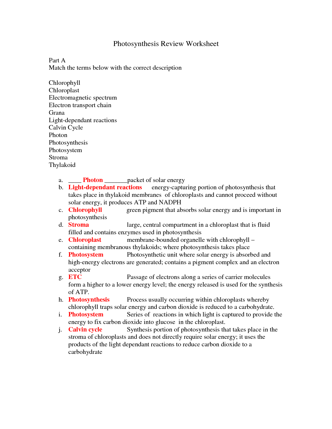 12 Best Images Of Photosynthesis Diagrams Worksheet Answer Key 