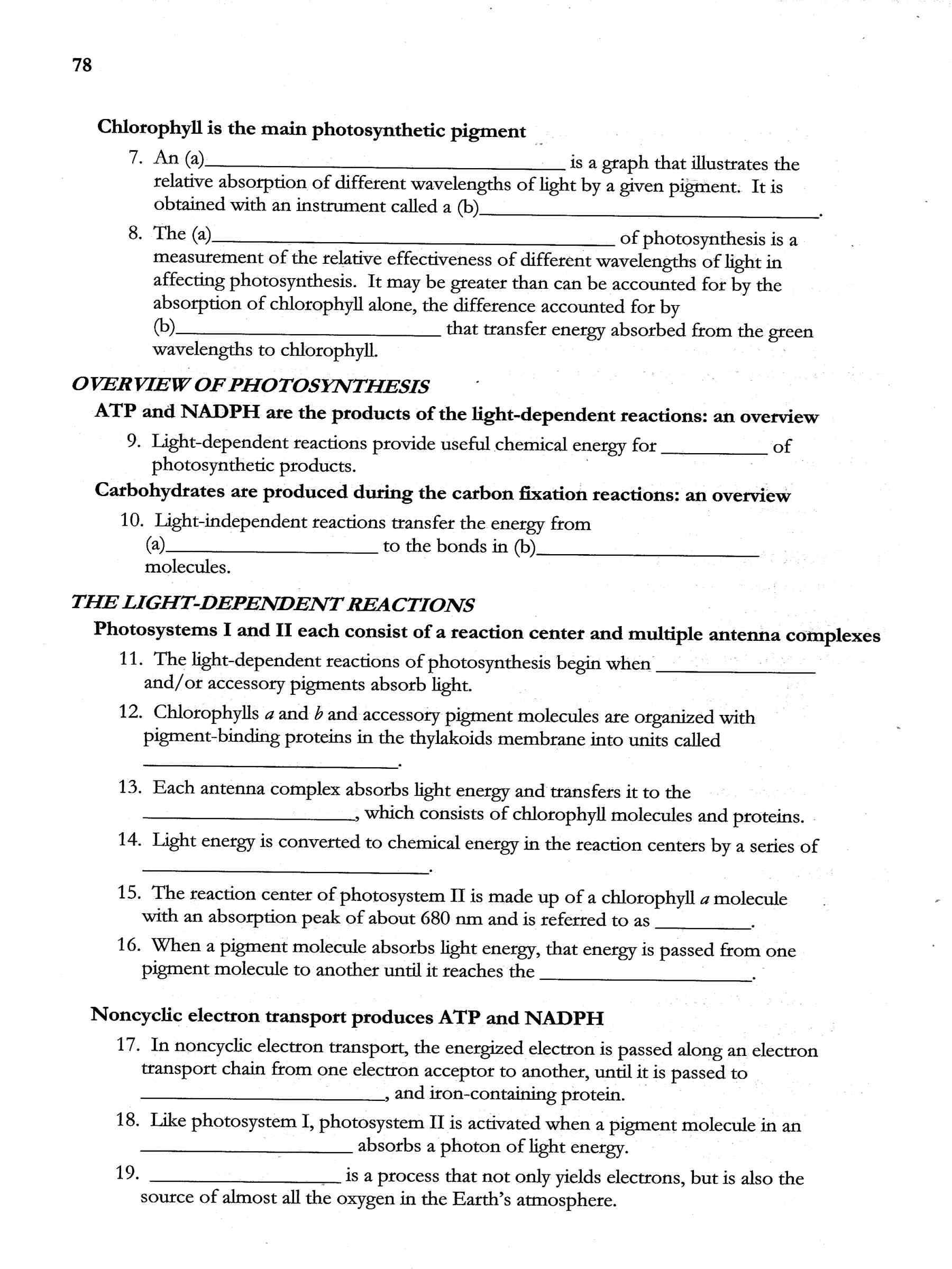 12 Best Images Of Photosynthesis Diagrams Worksheet Answer Key Photosynthesis Diagram 