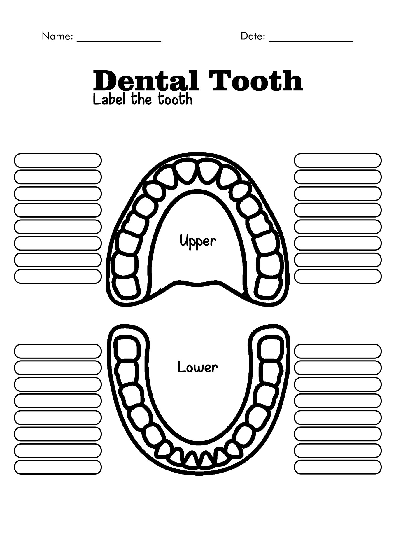 Blank Tooth Chart