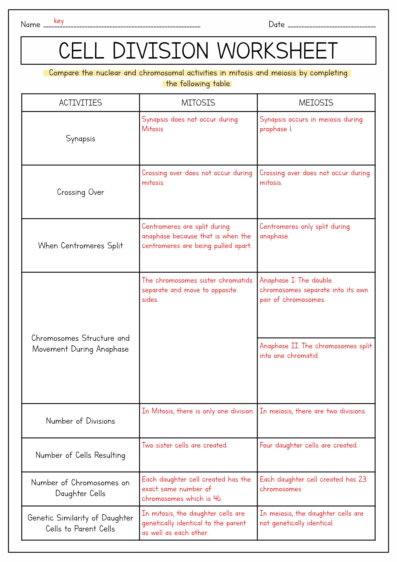 16 Best Images Of Meiosis Diagram Worksheet Meiosis Stages Worksheet 