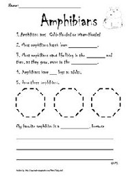 15 Best Images of Printable Nursing Worksheets - Printable Nursing