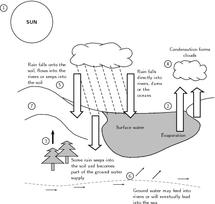 17 Best Images of Nitrogen Cycle Worksheet Middle School - Carbon Cycle