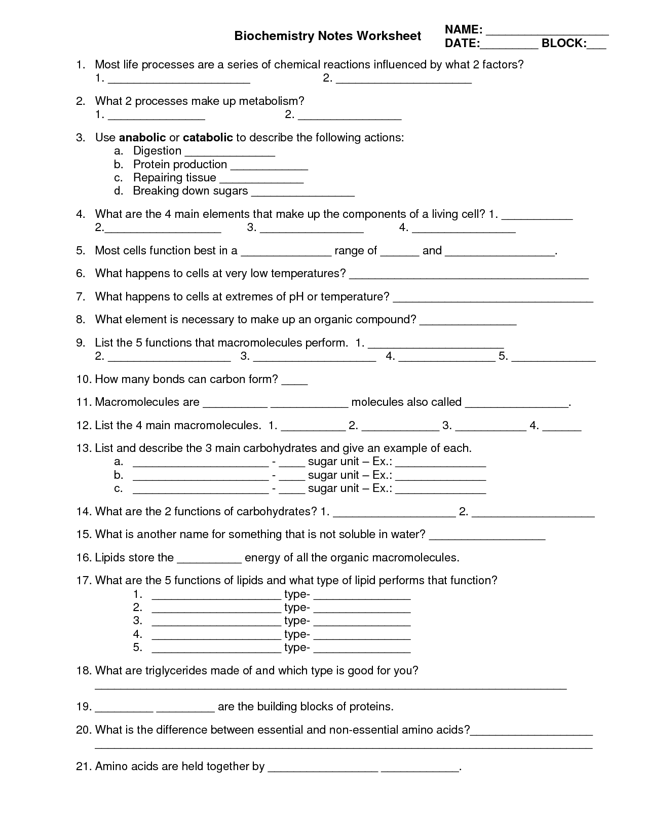 16 Best Images Of Carbohydrate Review Worksheet Carbohydrates Review 