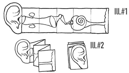 11 Best Images of Parts Of The Ear Diagram Worksheet - Ear Diagram