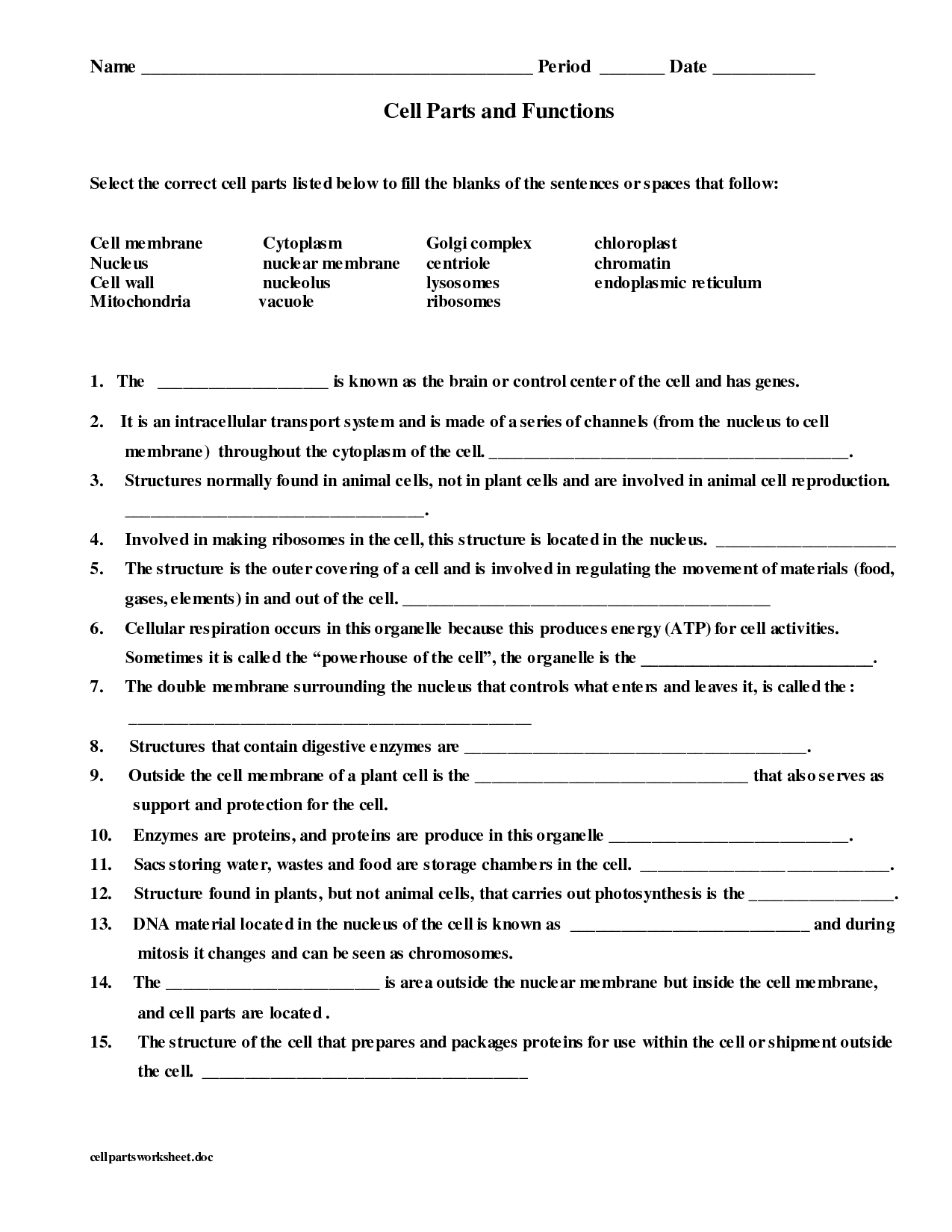 14 Best Images Of Cell Structure And Function Worksheet Answers Cell 