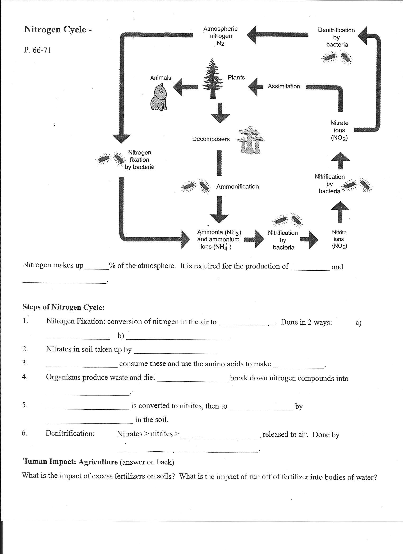 14 Best Images Of Time Cycle Worksheets Precipitation Water Cycle Worksheets Time Study 