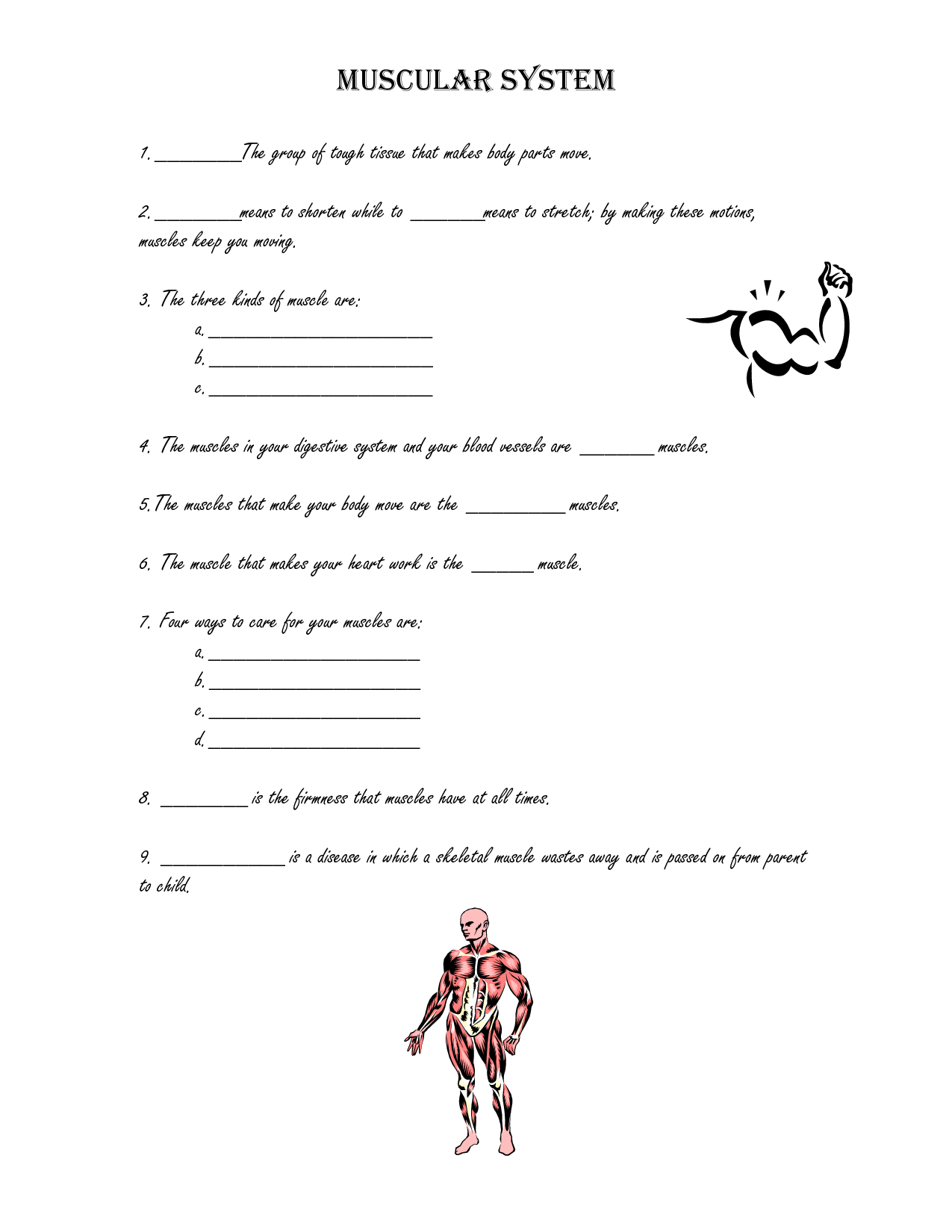 17 Best Images of Human Muscle Worksheets - Label Muscles Worksheet