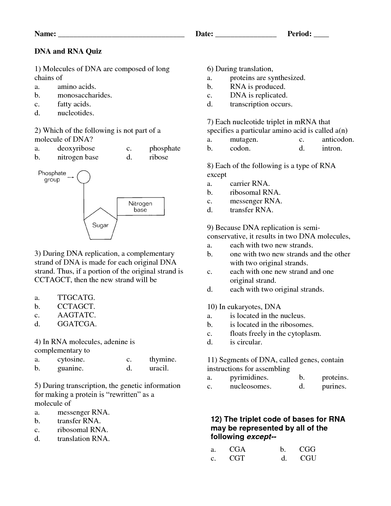 16 Best Images Of DNA Worksheets For High School DNA Structure 