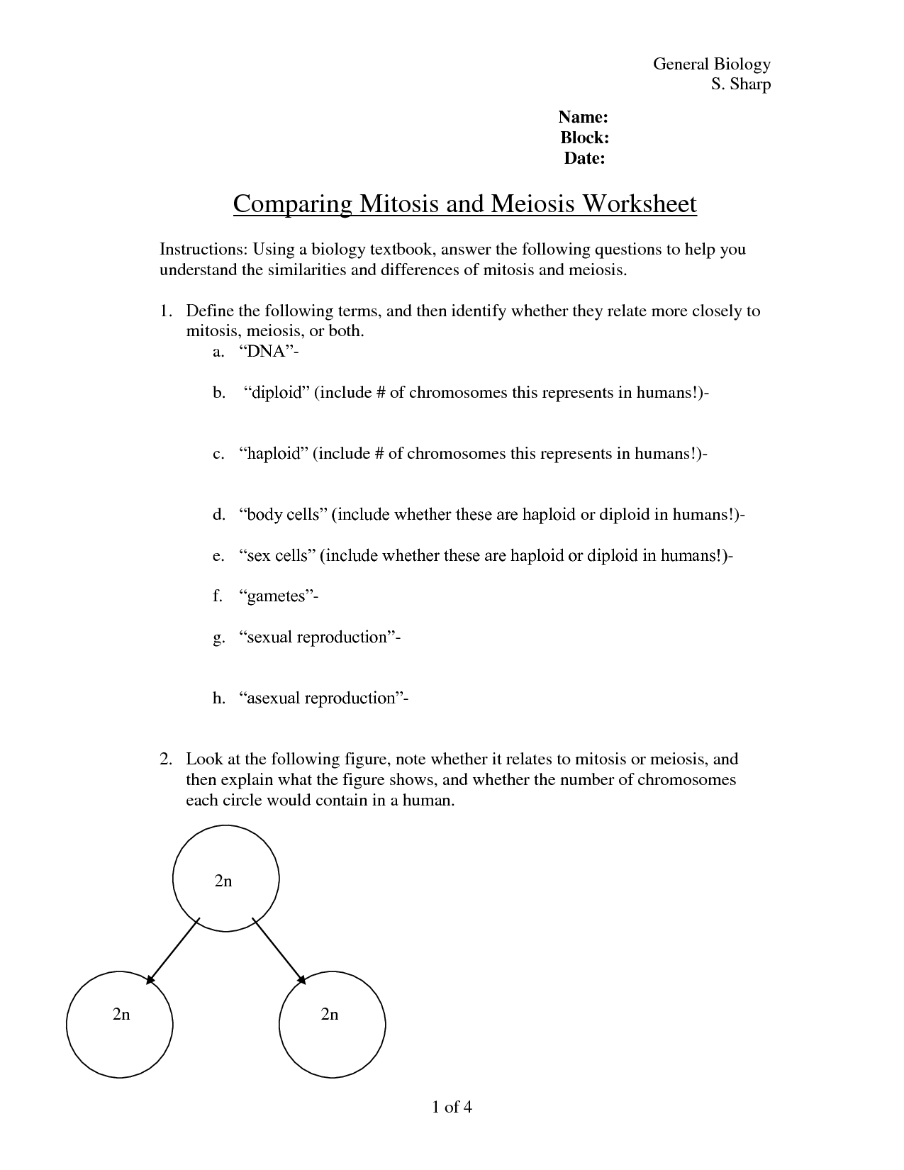 13 Best Images Of Comparing Mitosis And Meiosis Worksheet Answers Comparing Mitosis And 