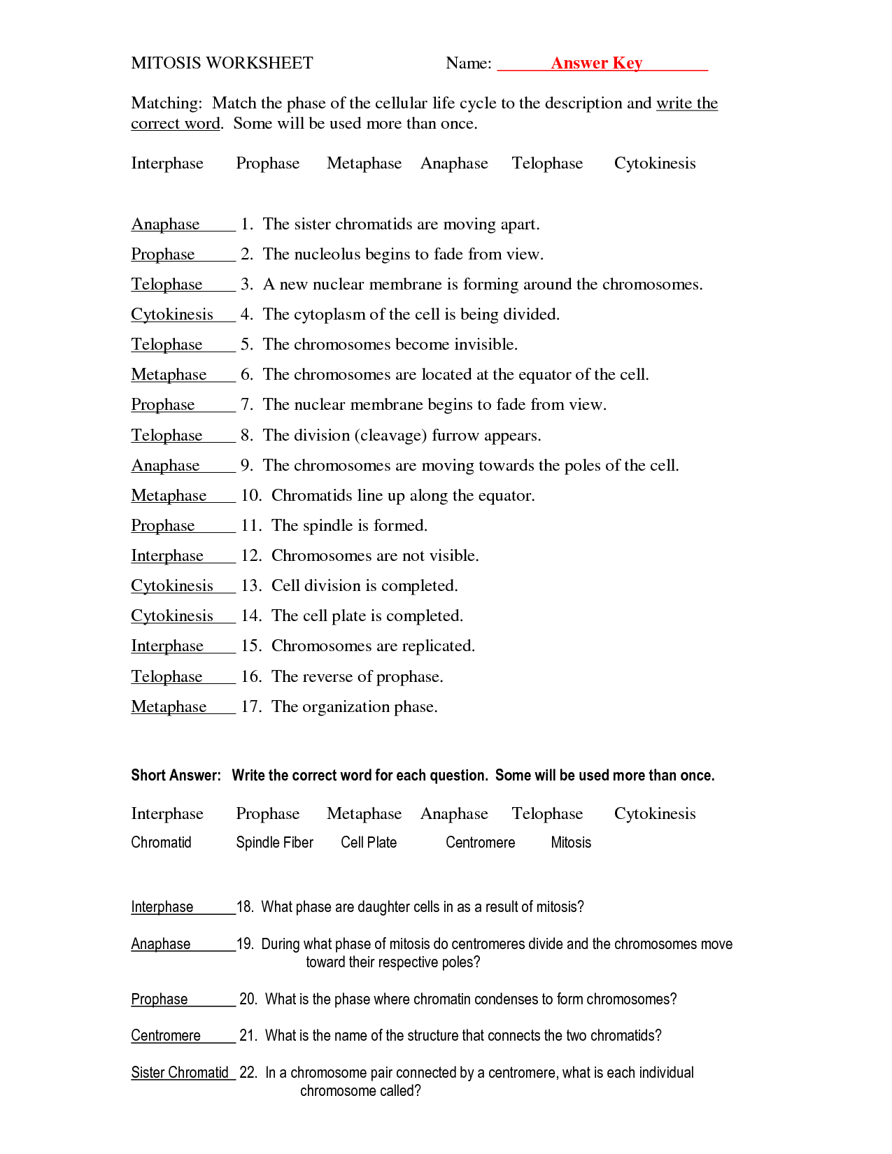 13 Best Images Of Diagram Mitosis Worksheet Answers Mitosis And Meiosis Worksheet Answer Key 