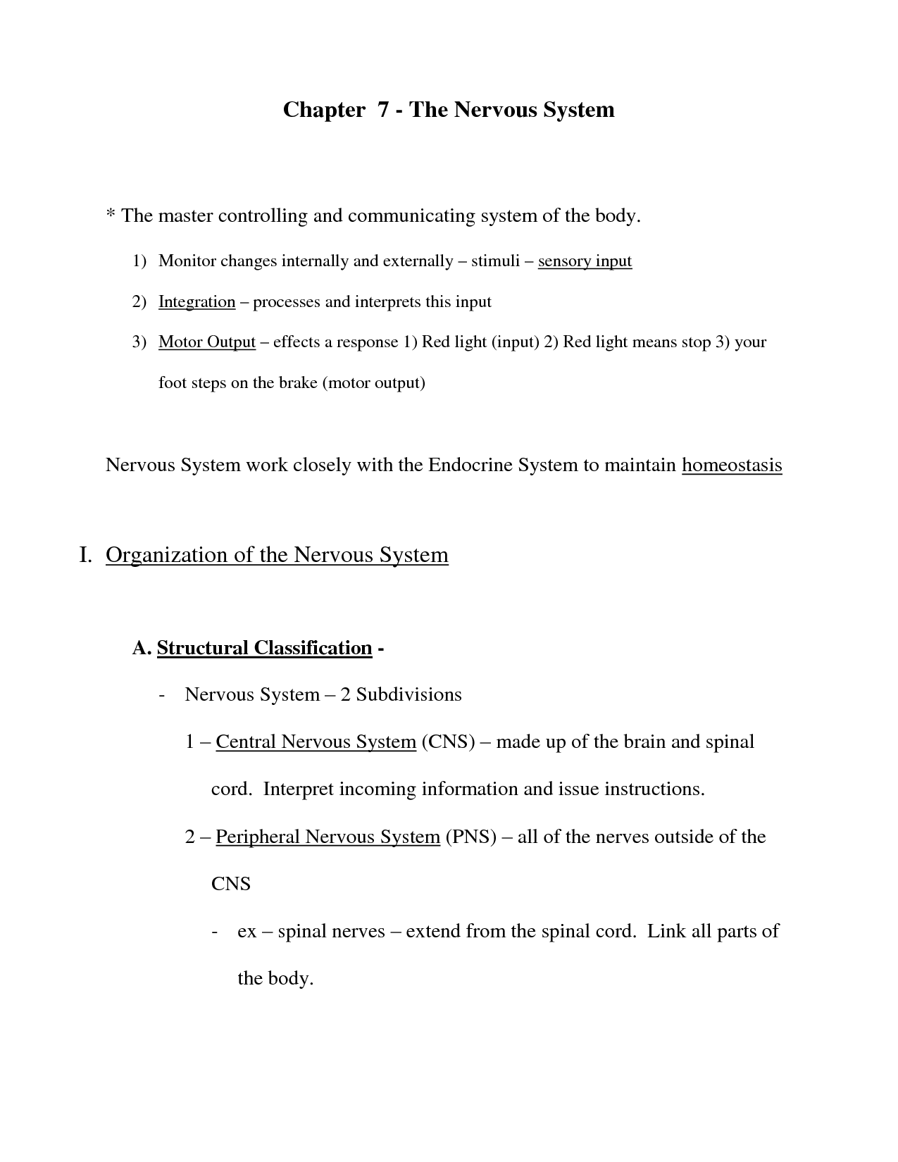 18 Best Images Of Classification Key Worksheet Answer Kingdom Classification Worksheet Answers 