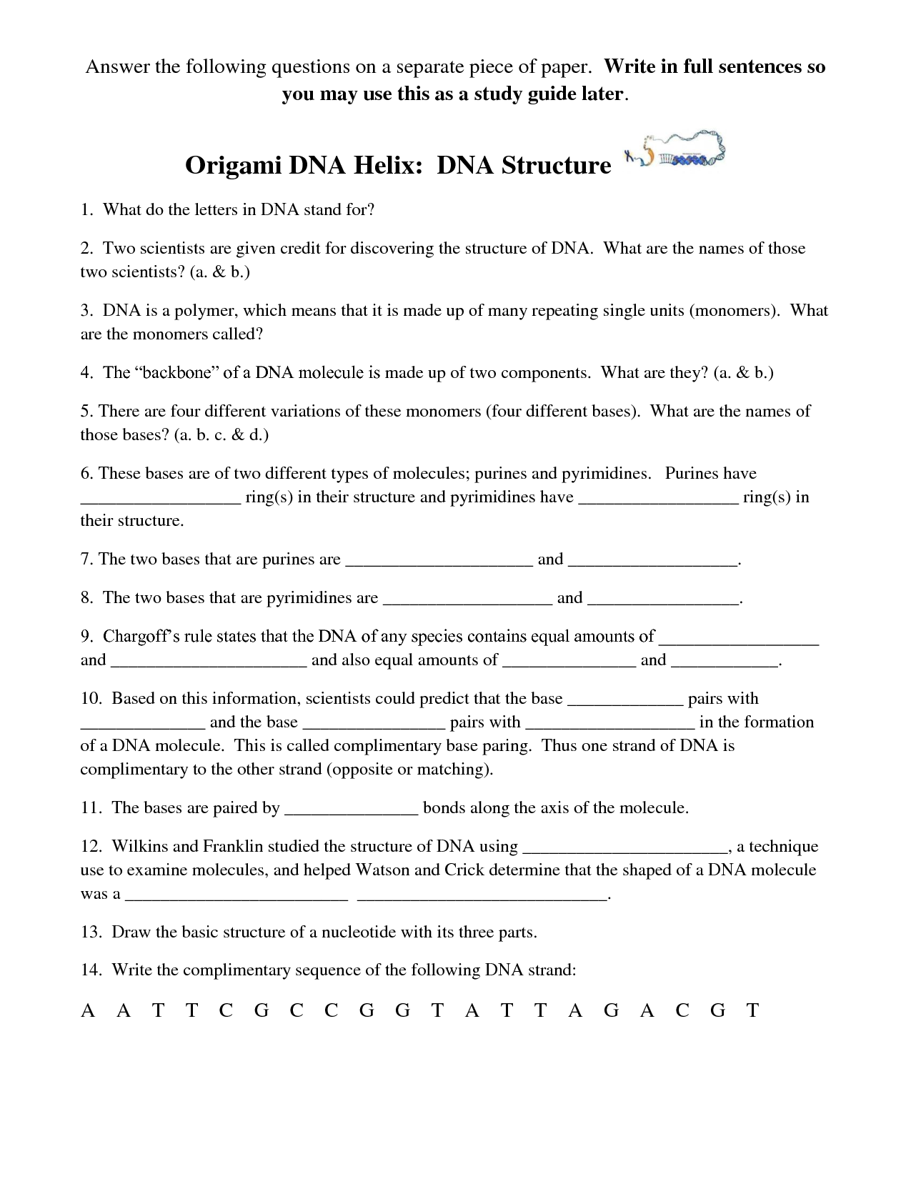 12 Best Images of DNA Model Cut Out Worksheets - DNA Model Worksheet