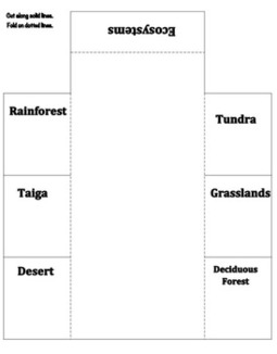 12 Best Images of Ecosystem Scavenger Hunt Worksheet - Scavenger Hunt