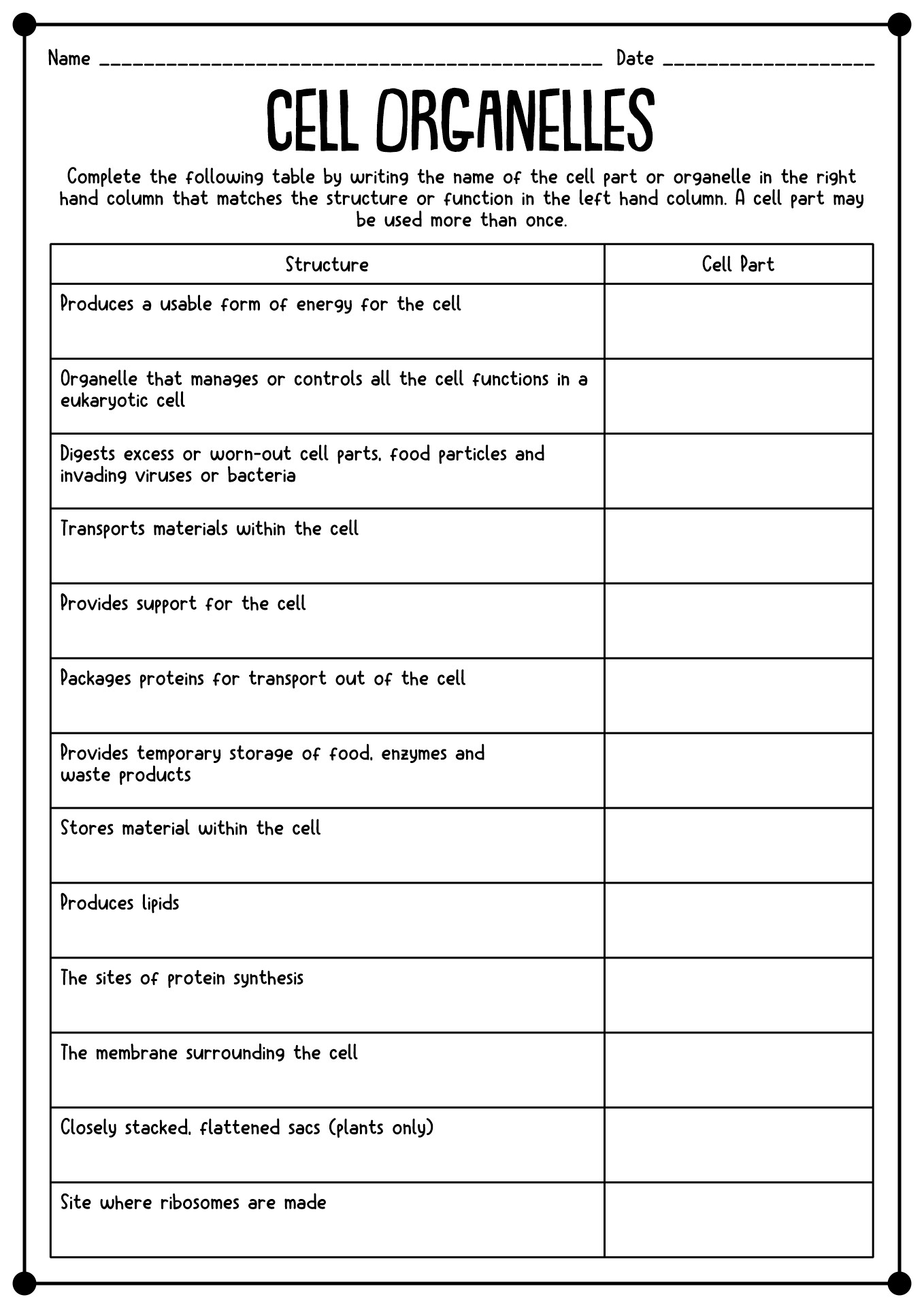 12-best-images-of-science-worksheets-all-cells-7th-grade-life-science-worksheets-biology-cell