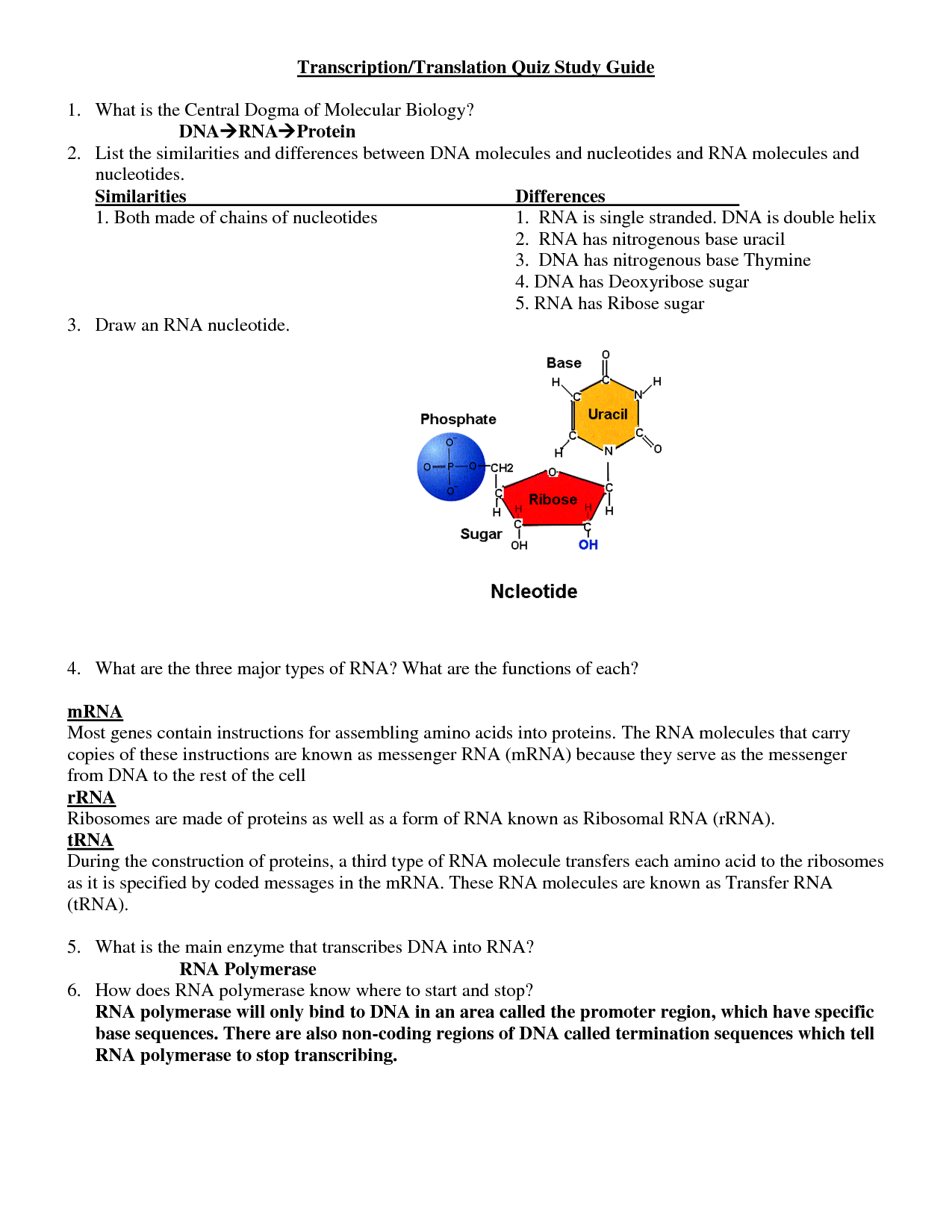 14-best-images-of-comparing-dna-and-rna-worksheet-section-12-4-mutations-answer-key