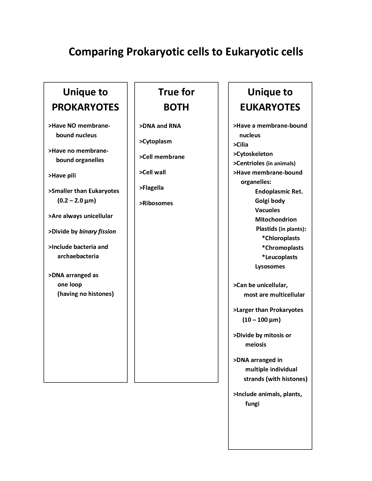 14 Best Images Of Comparing DNA And RNA Worksheet Section 12 4 