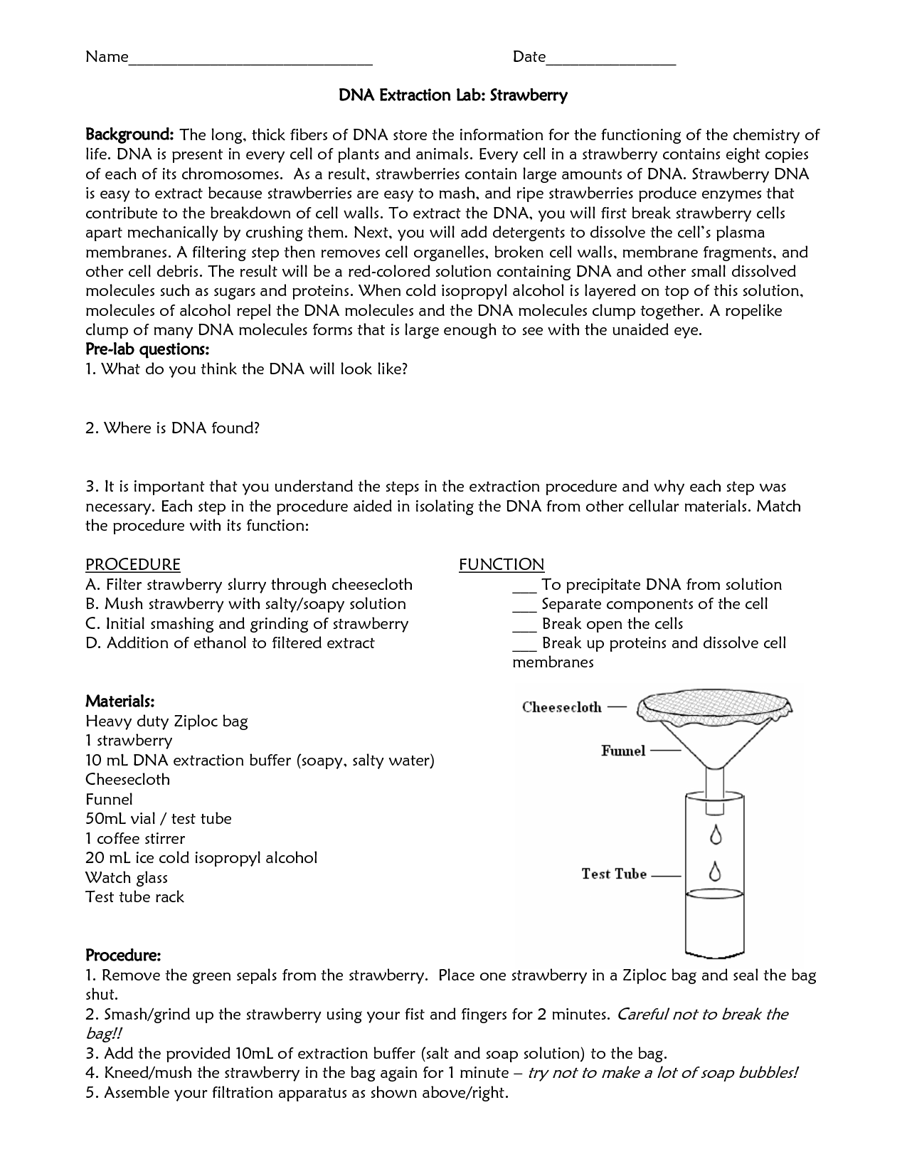  Strawberry Dna Extraction Worksheet Answers Free Download Qstion co