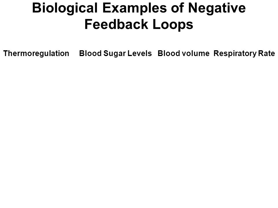 8 Best Images Of Blood Glucose Homeostasis Worksheet Feedback And Homeostasis Worksheet 