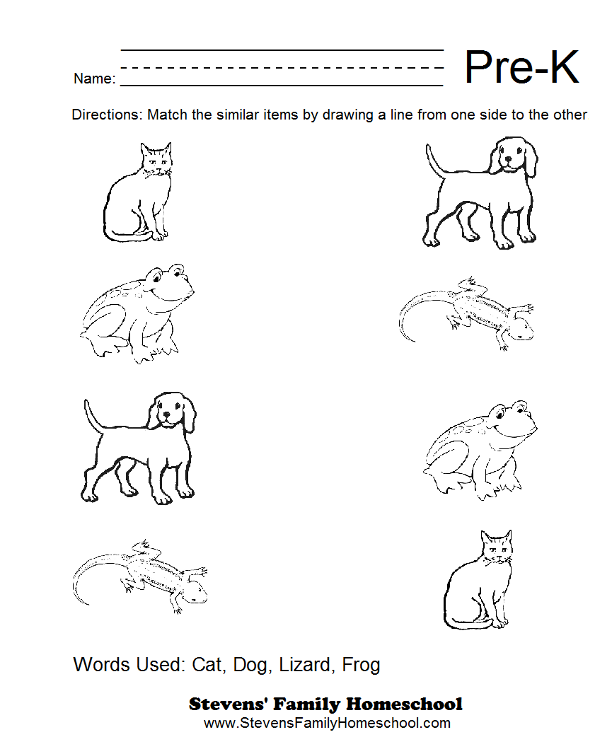16 Best Images Of Pre K Math Homework Worksheets Pre K Math 
