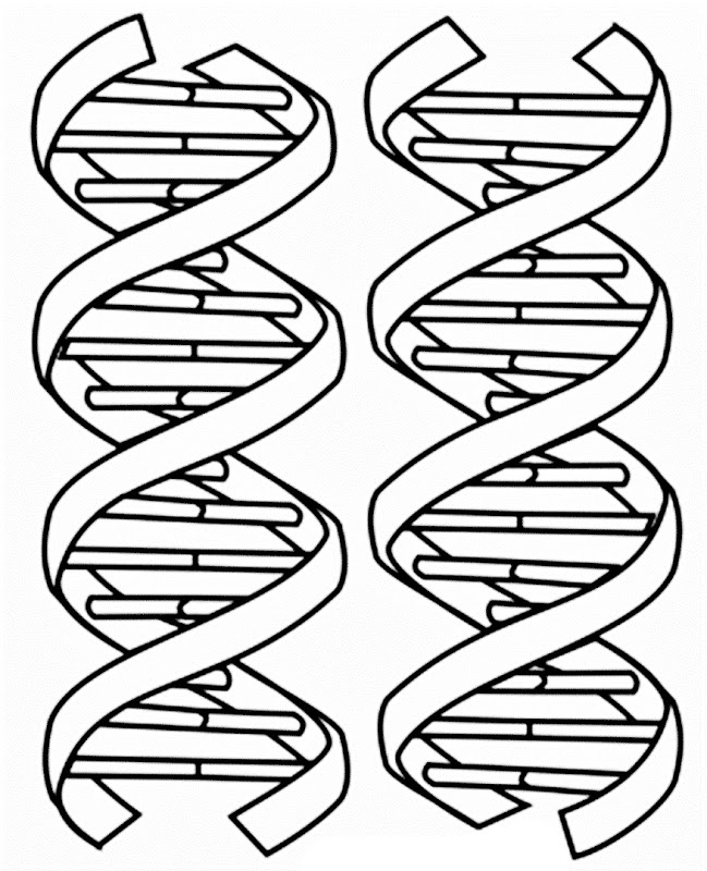 Free Printable Dna Worksheets Printable Templates