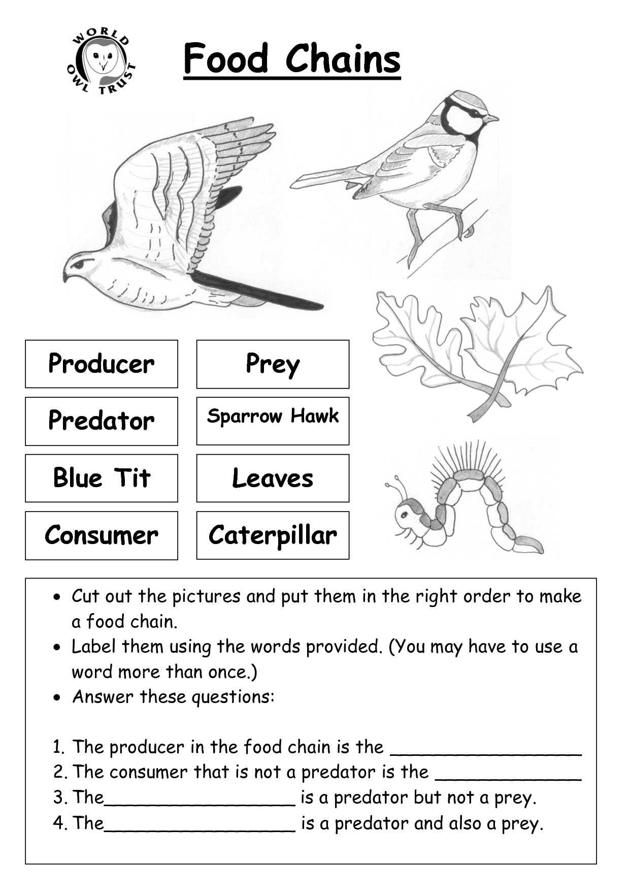 11 Best Images Of Printable Food Chain Worksheets Worksheets On Food 