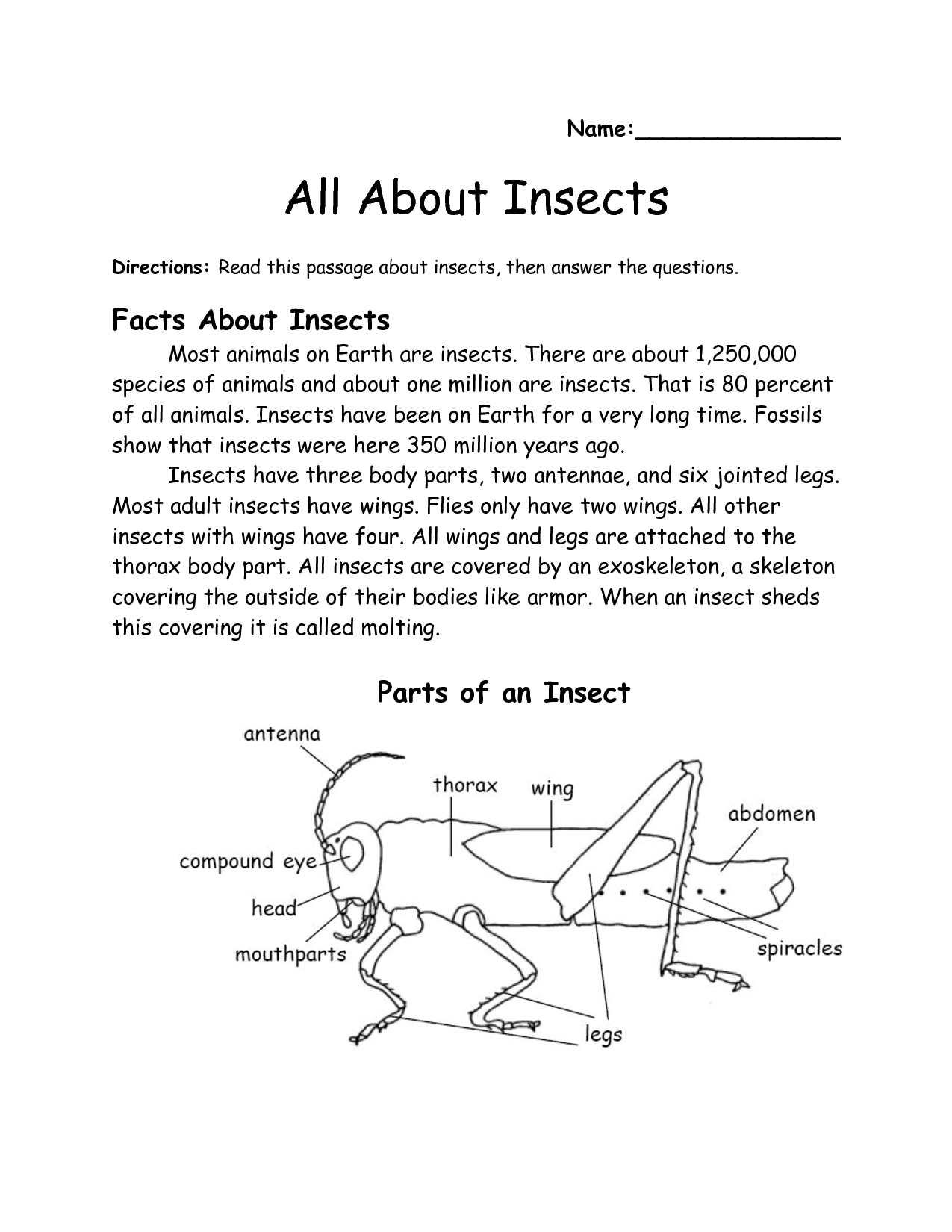 13-best-images-of-insect-homes-worksheet-3rd-grade-insects-math