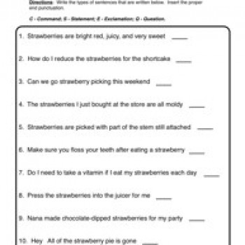 13 Best Images of Sequencing Worksheets 2nd Grade - Nonfiction Reading