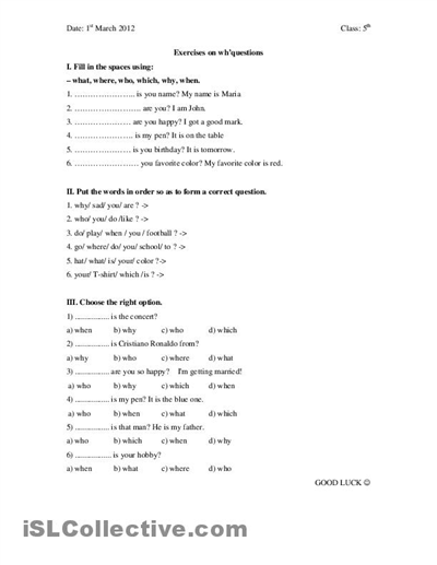 Printable Wh-Question Worksheets