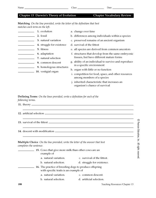 14 What Darwin Never Knew Worksheet Answer Key Worksheeto