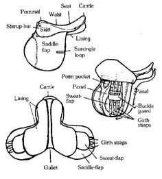 English Saddle Parts Diagram