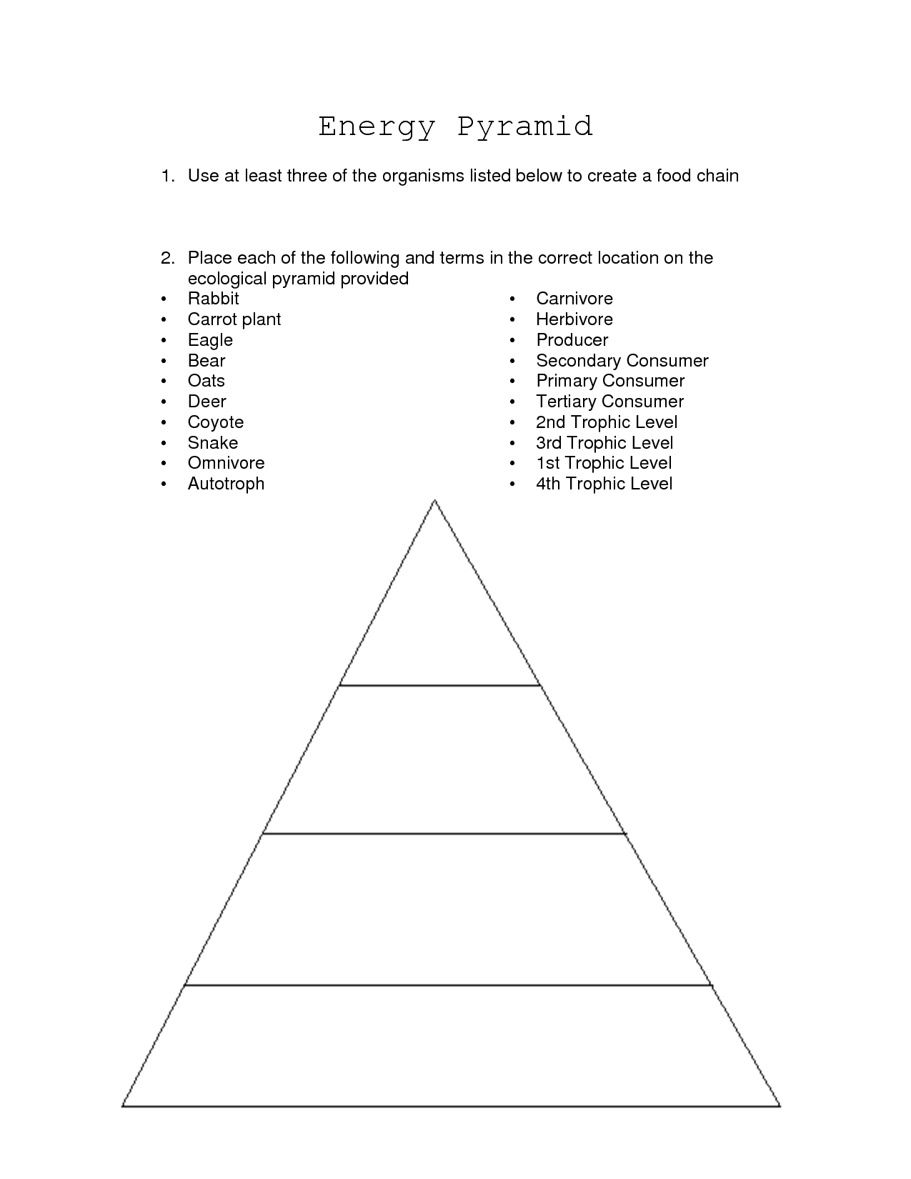 Food Web Energy Pyramid Worksheet