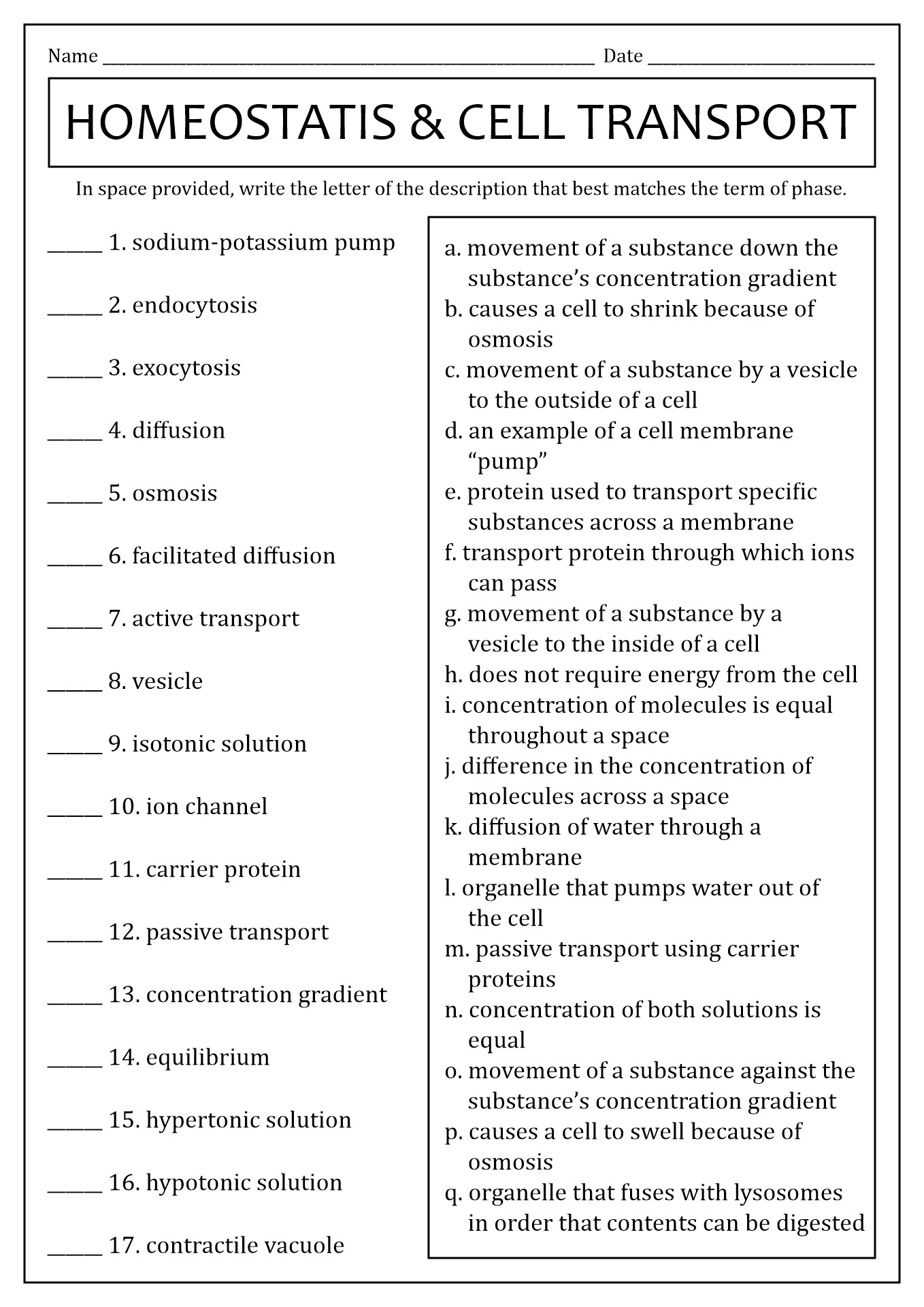 Homeostasis Worksheet