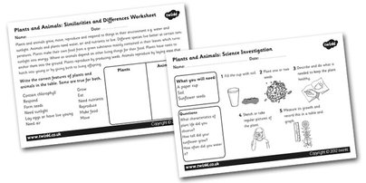 Plant and Animal Classification Worksheets