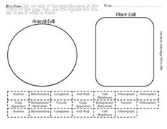 Plant Cell Organelles Cut Outs