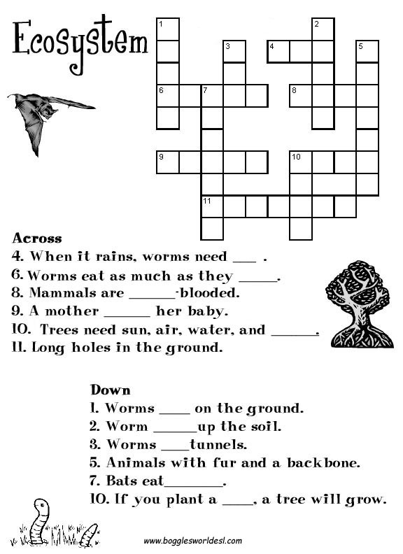 Printable Ecosystem Worksheets