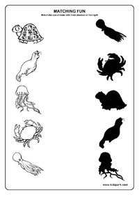 Kindergarten Shadow Worksheets