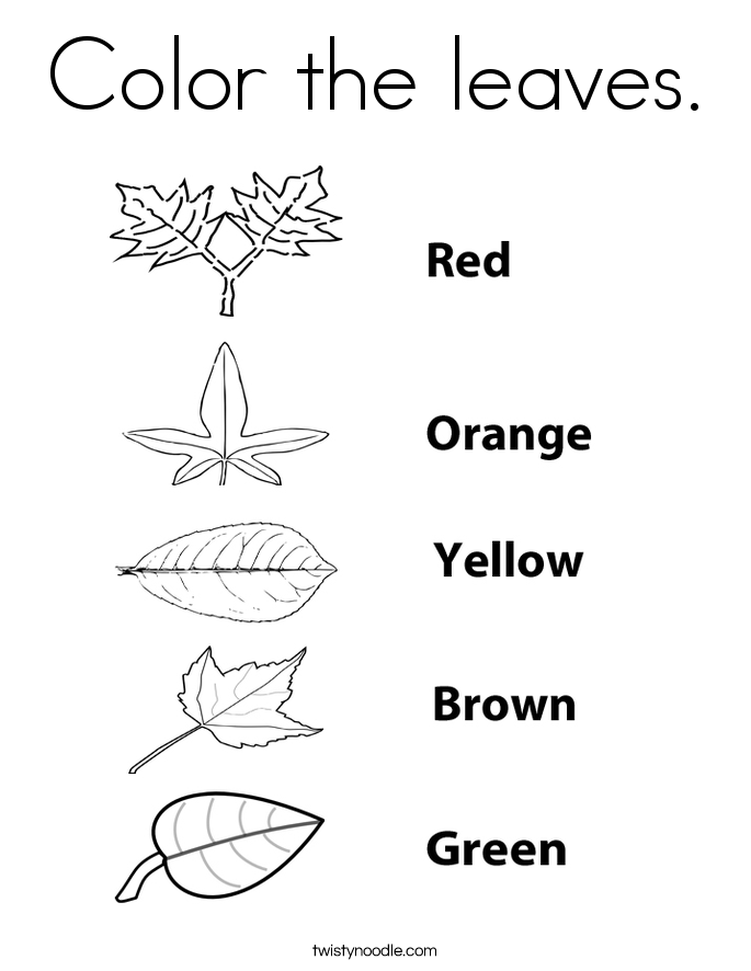 Leaves Coloring Page Color