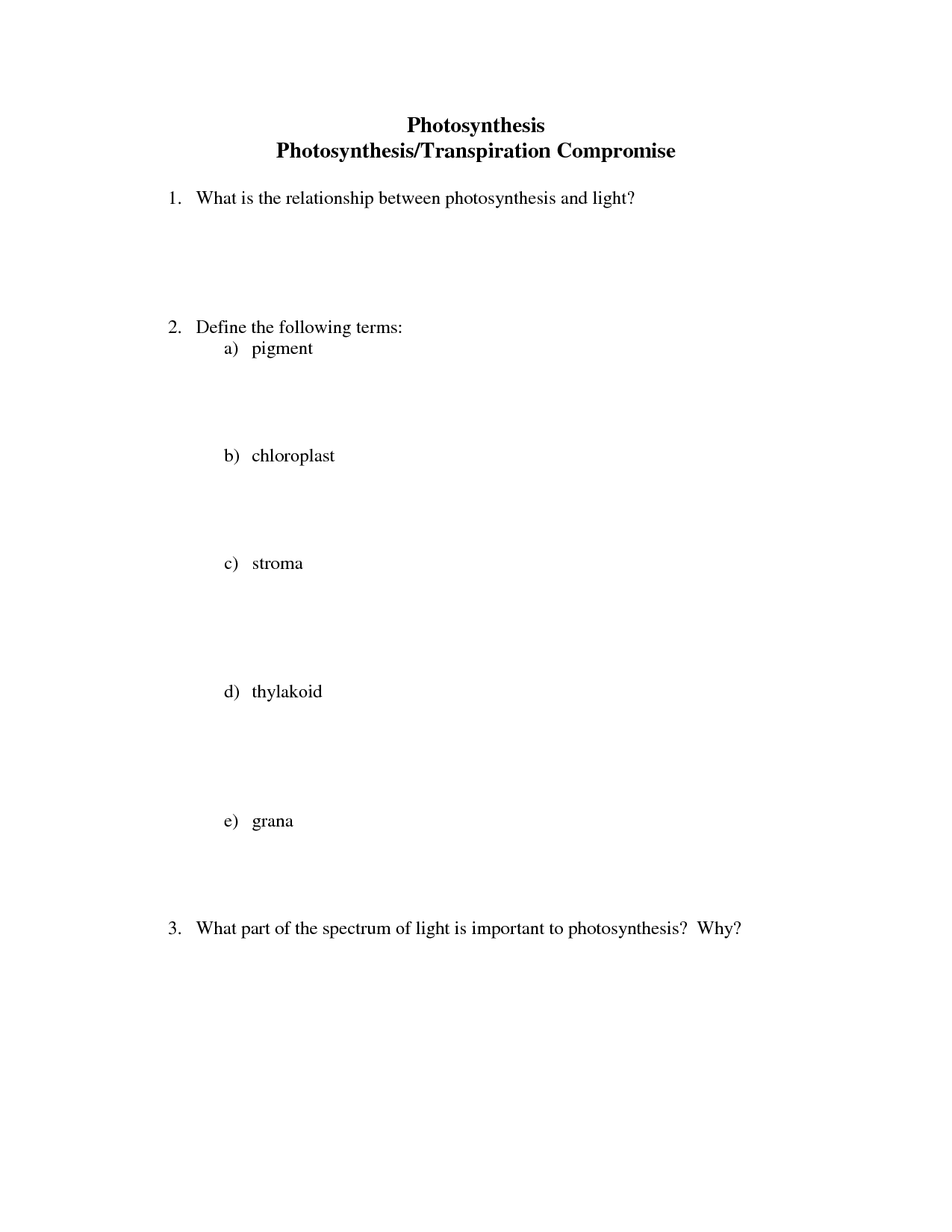 Photosynthesis Making Energy Worksheet