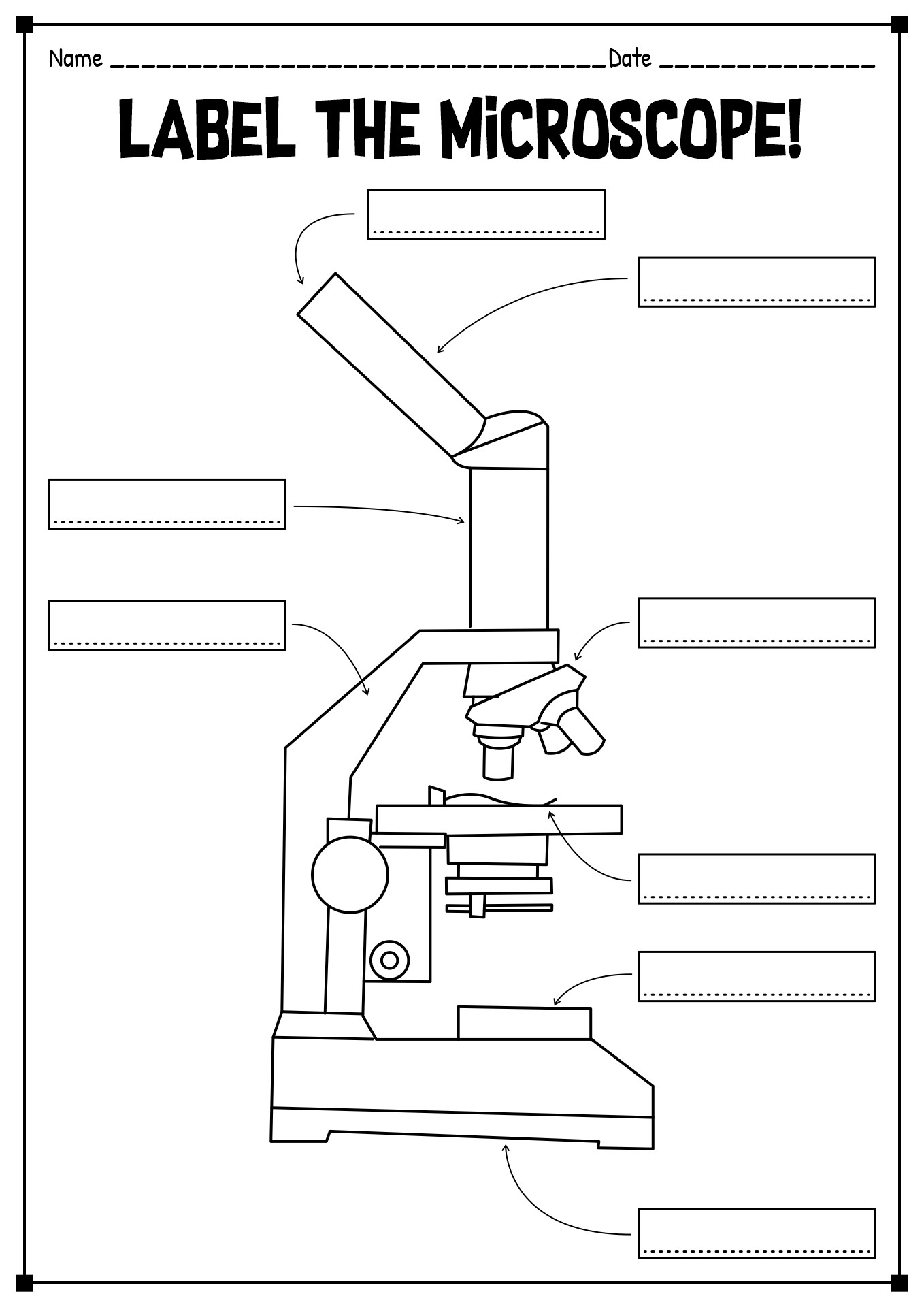 15 Printable Microscope Worksheet - Free PDF at worksheeto.com